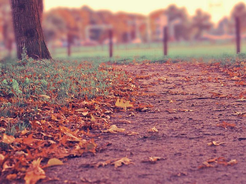 Bosch pesumasin 8kg A+++