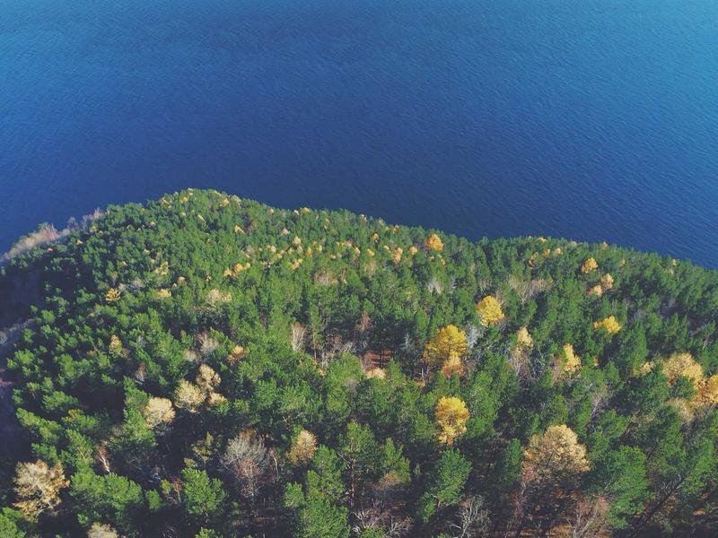 Vintage nahkdiivan 3-kohaline