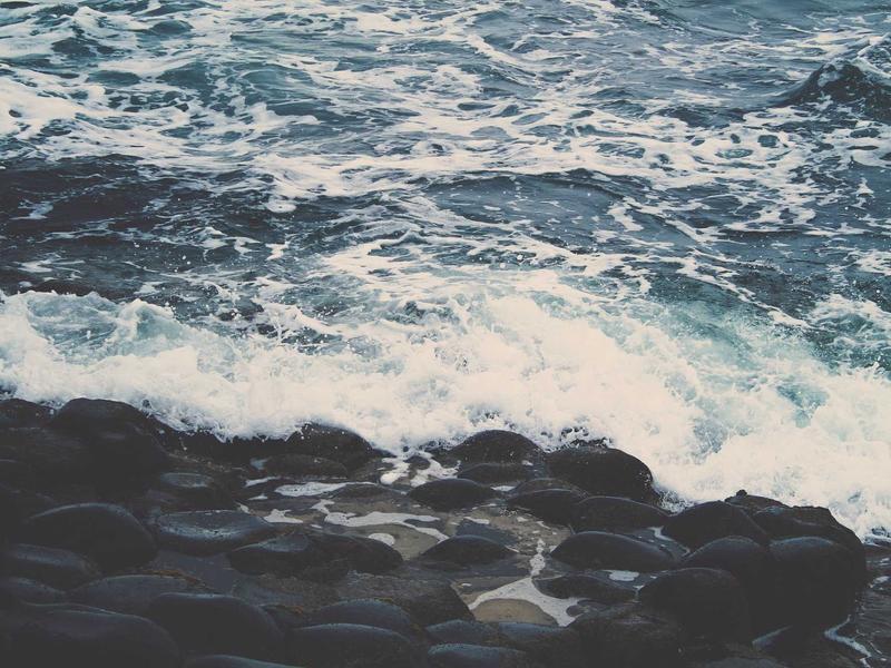 Lenovo ThinkPad X1 Carbon Gen 11 - 2